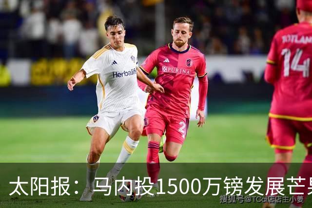 太阳报：马内投1500万镑发展芒果产业，计划为家乡创造1000个岗位
